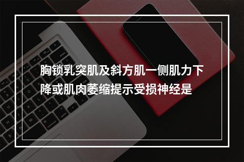 胸锁乳突肌及斜方肌一侧肌力下降或肌肉萎缩提示受损神经是