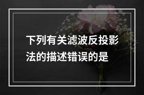 下列有关滤波反投影法的描述错误的是