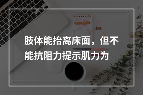 肢体能抬离床面，但不能抗阻力提示肌力为