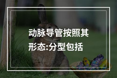 动脉导管按照其形态:分型包括