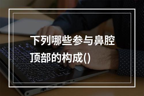 下列哪些参与鼻腔顶部的构成()