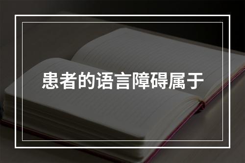 患者的语言障碍属于