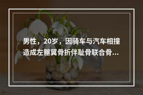 男性，20岁，因骑车与汽车相撞造成左髂翼骨折伴耻骨联合骨折，