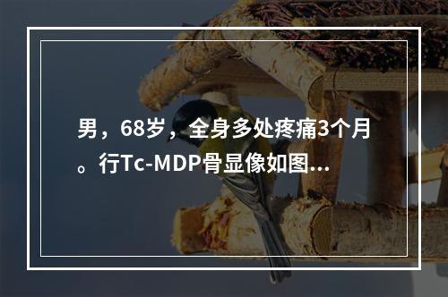 男，68岁，全身多处疼痛3个月。行Tc-MDP骨显像如图，可