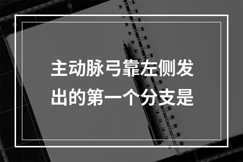 主动脉弓靠左侧发出的第一个分支是