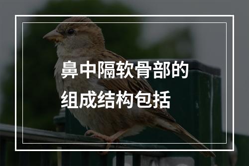 鼻中隔软骨部的组成结构包括