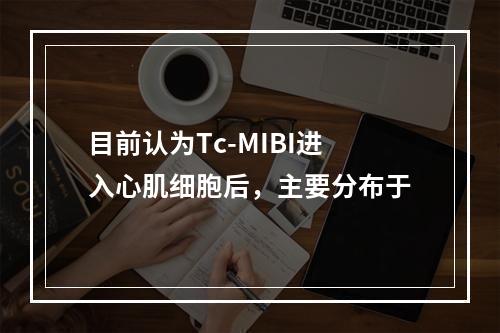 目前认为Tc-MIBI进入心肌细胞后，主要分布于