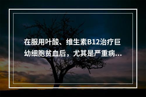 在服用叶酸、维生素B12治疗巨幼细胞贫血后，尤其是严重病例在