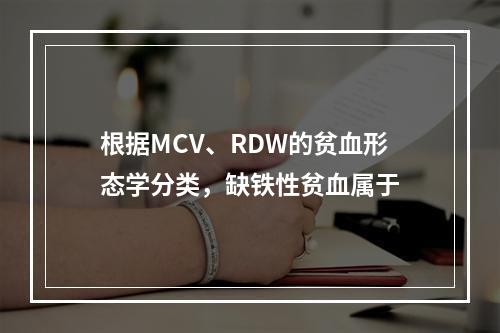 根据MCV、RDW的贫血形态学分类，缺铁性贫血属于