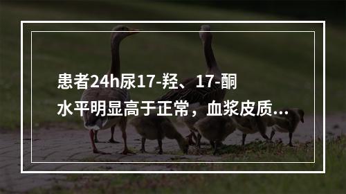 患者24h尿17-羟、17-酮水平明显高于正常，血浆皮质醇节