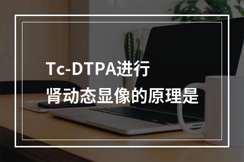 Tc-DTPA进行肾动态显像的原理是