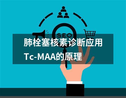 肺栓塞核素诊断应用Tc-MAA的原理