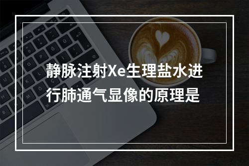 静脉注射Xe生理盐水进行肺通气显像的原理是