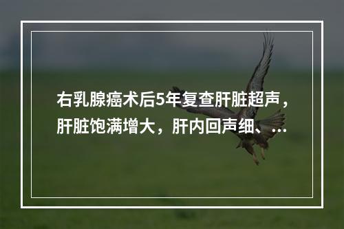 右乳腺癌术后5年复查肝脏超声，肝脏饱满增大，肝内回声细、增强