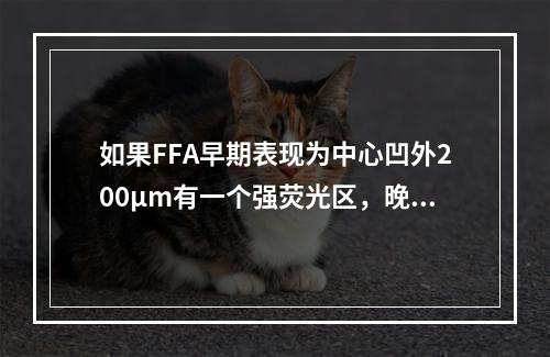 如果FFA早期表现为中心凹外200μm有一个强荧光区，晚期表