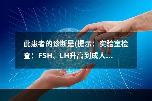 此患者的诊断是(提示：实验室检查：FSH、LH升高到成人水平