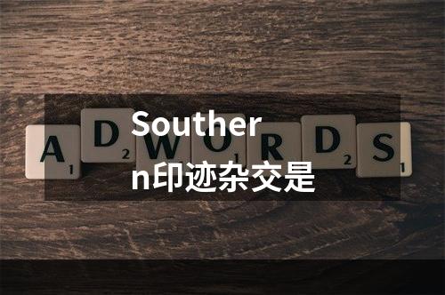 Southern印迹杂交是