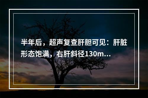 半年后，超声复查肝胆可见：肝脏形态饱满，右肝斜径130mm，