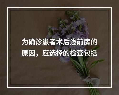 为确诊患者术后浅前房的原因，应选择的检查包括