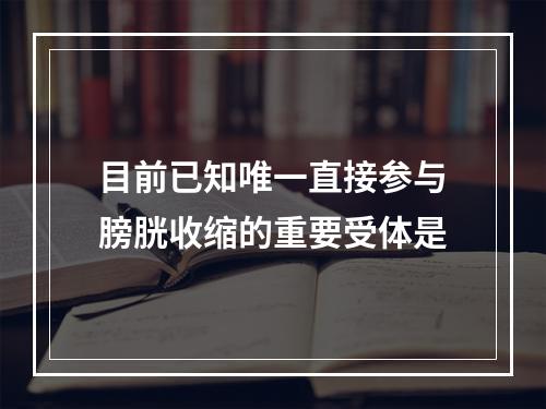 目前已知唯一直接参与膀胱收缩的重要受体是