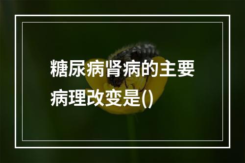 糖尿病肾病的主要病理改变是()