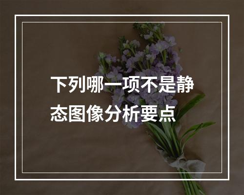 下列哪一项不是静态图像分析要点