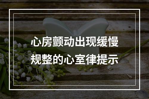 心房颤动出现缓慢规整的心室律提示