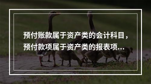 预付账款属于资产类的会计科目，预付款项属于资产类的报表项目。