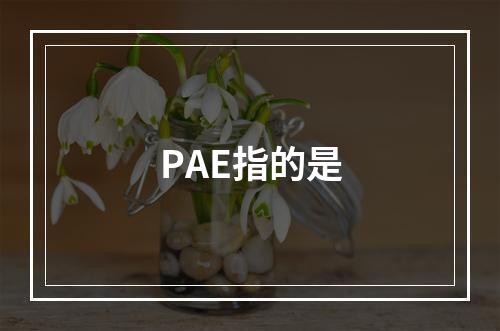 PAE指的是