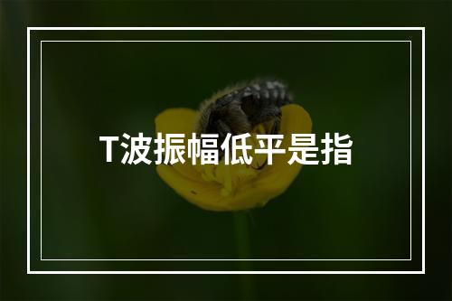 T波振幅低平是指