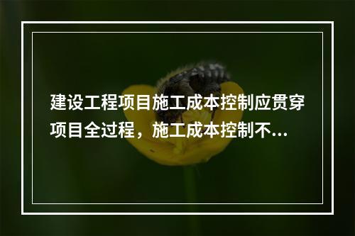 建设工程项目施工成本控制应贯穿项目全过程，施工成本控制不包括