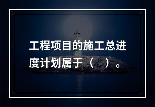 工程项目的施工总进度计划属于（　）。