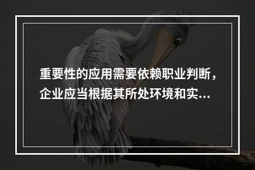 重要性的应用需要依赖职业判断，企业应当根据其所处环境和实际情