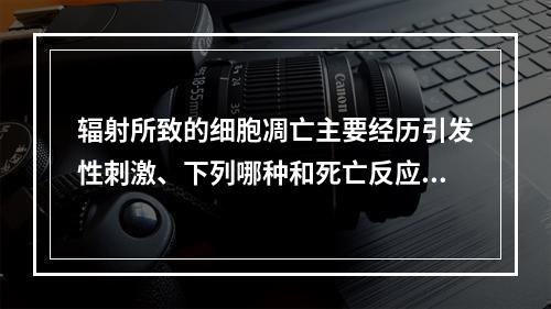 辐射所致的细胞凋亡主要经历引发性刺激、下列哪种和死亡反应三个