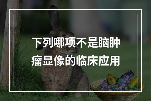 下列哪项不是脑肿瘤显像的临床应用