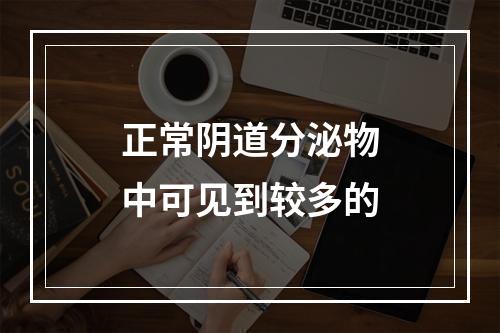 正常阴道分泌物中可见到较多的