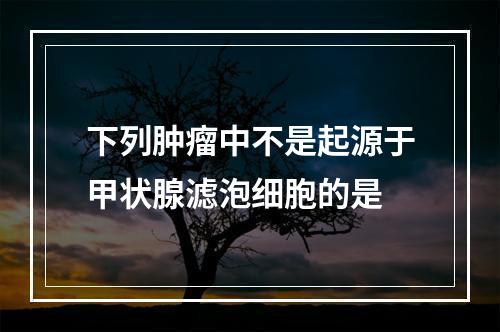 下列肿瘤中不是起源于甲状腺滤泡细胞的是