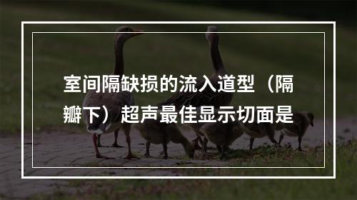 室间隔缺损的流入道型（隔瓣下）超声最佳显示切面是