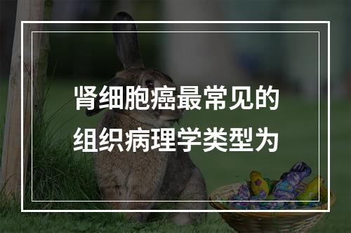 肾细胞癌最常见的组织病理学类型为