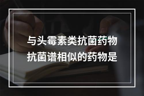 与头霉素类抗菌药物抗菌谱相似的药物是