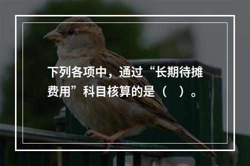 下列各项中，通过“长期待摊费用”科目核算的是（　）。