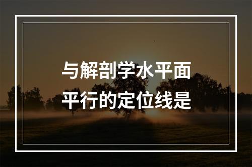 与解剖学水平面平行的定位线是