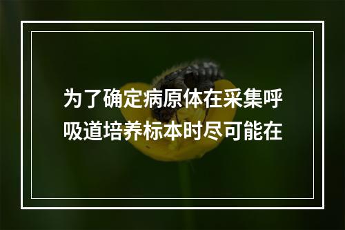 为了确定病原体在采集呼吸道培养标本时尽可能在