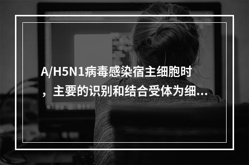 A/H5N1病毒感染宿主细胞时，主要的识别和结合受体为细胞表