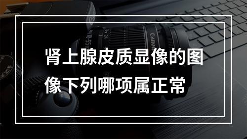 肾上腺皮质显像的图像下列哪项属正常