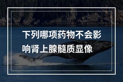 下列哪项药物不会影响肾上腺髓质显像