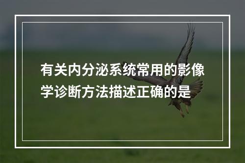 有关内分泌系统常用的影像学诊断方法描述正确的是