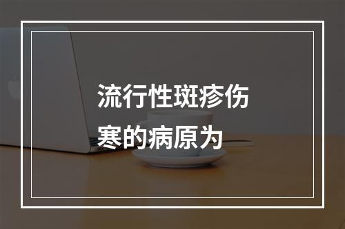 流行性斑疹伤寒的病原为