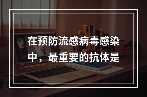 在预防流感病毒感染中，最重要的抗体是