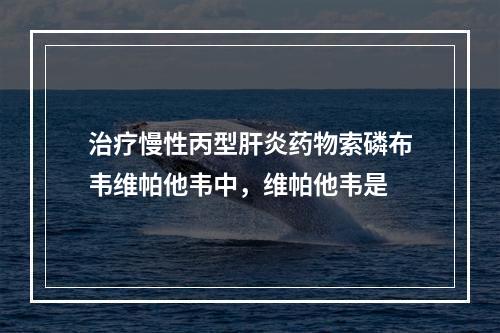 治疗慢性丙型肝炎药物索磷布韦维帕他韦中，维帕他韦是